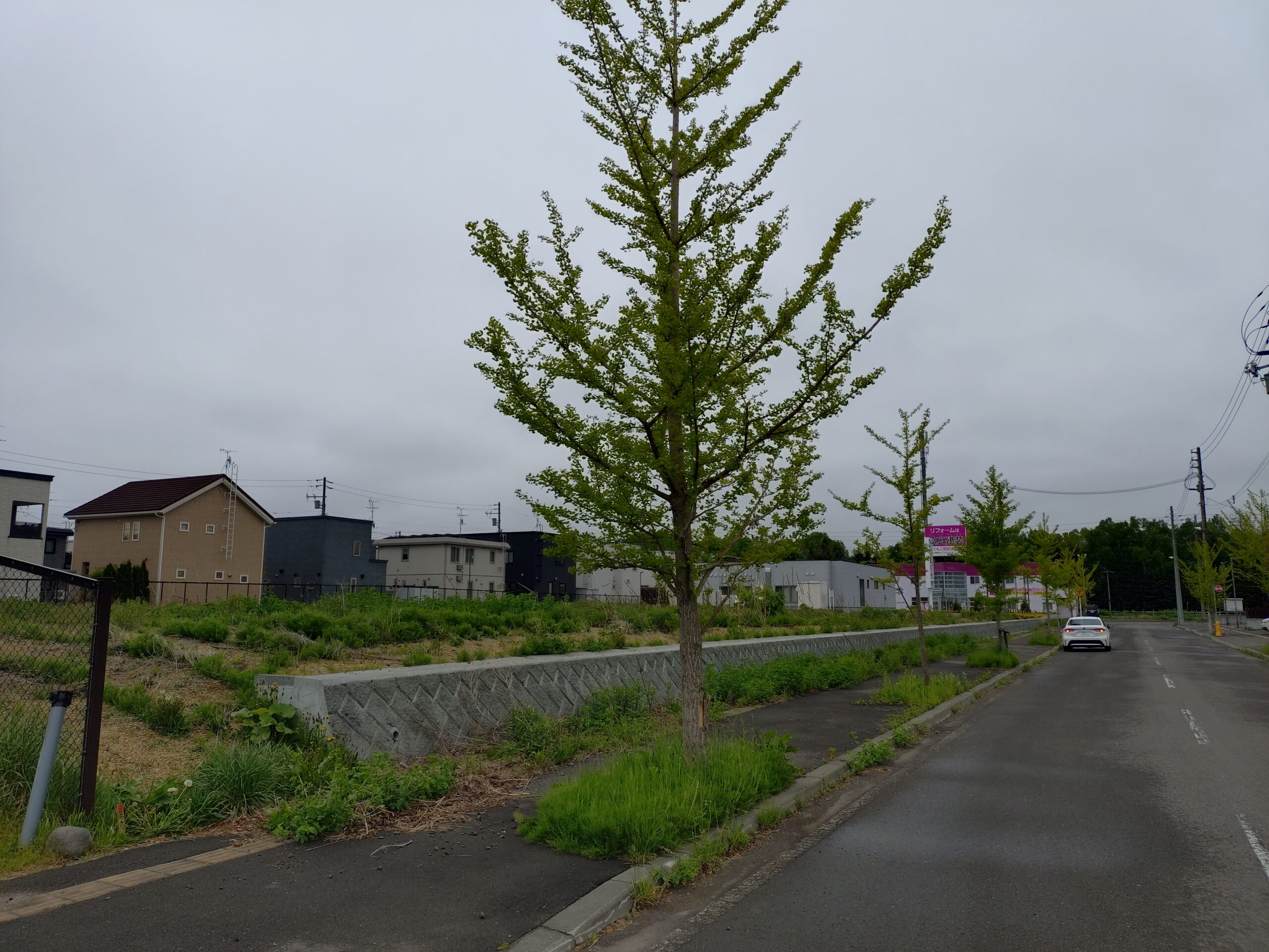 土地